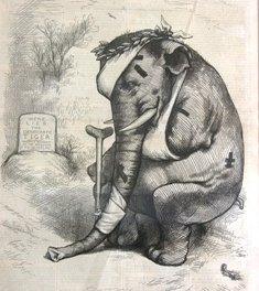 Battered elephant